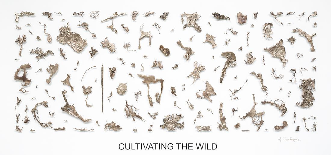 Cultivating The Wild