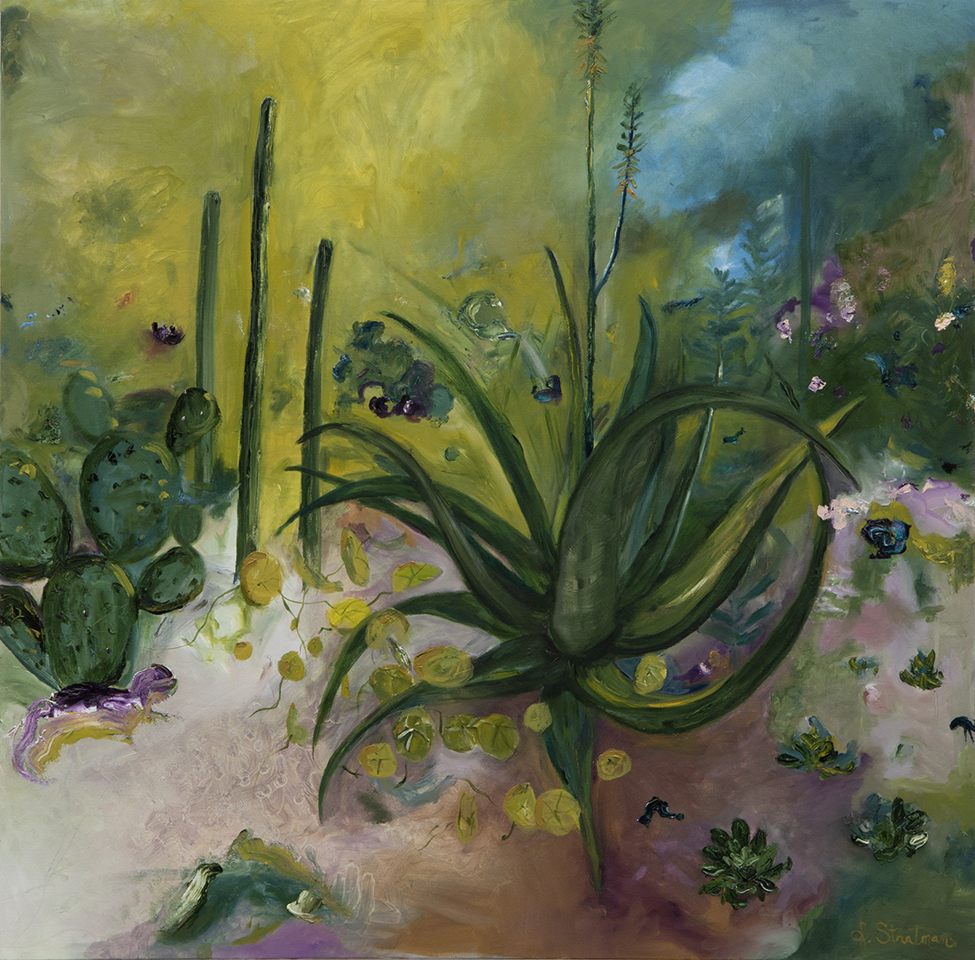 Cactus Garden