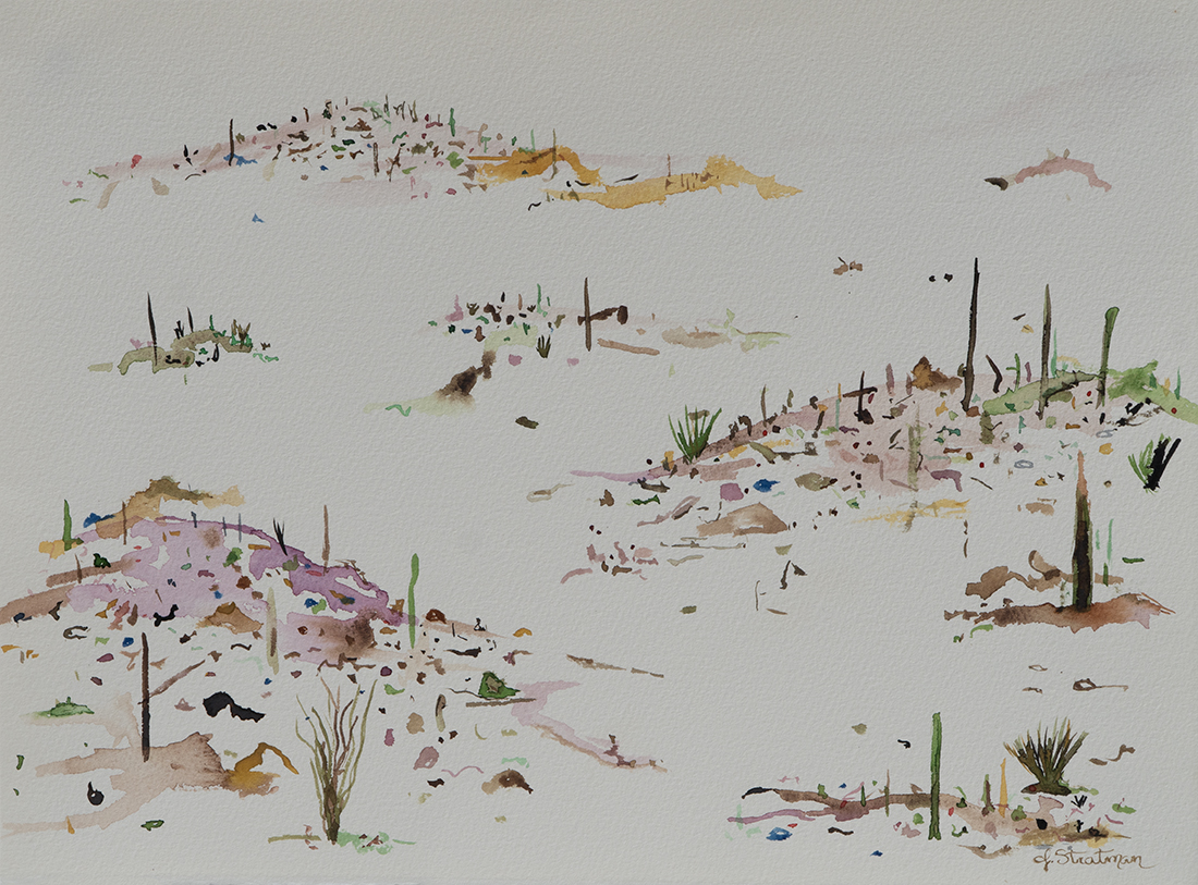 Desert Mirage 2