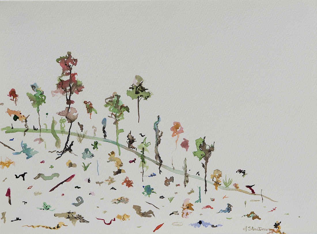 The Space Between The Trees