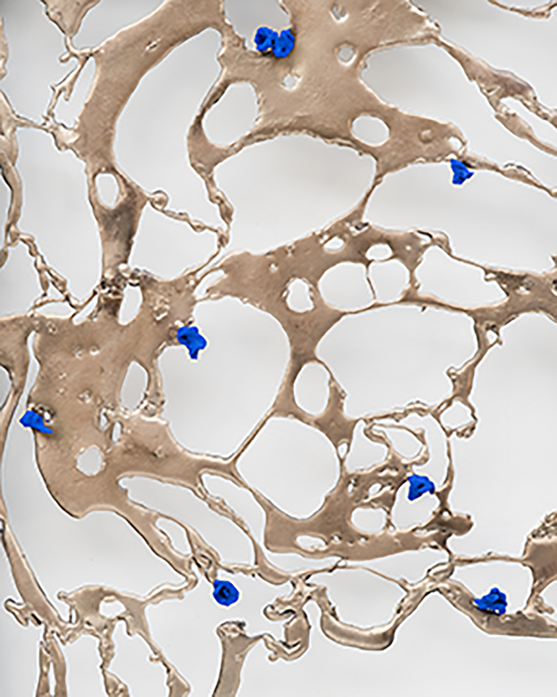 Starlight Born From My Forest Seeds -detail sky