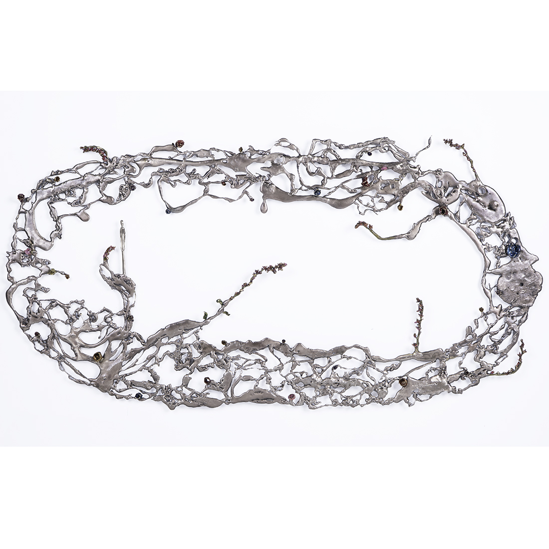 The Roots In My Wild Garden